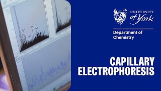 Running a Capillary Electrophoresis [upl. by Akimet]