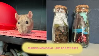 Making Memorial Jars  Pet Vlog [upl. by Press]