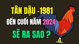 Tử vi tuổi Tân Dậu 1981 Điềm báo tử vi tốt xấu Từ giờ đến cuối năm 2024 [upl. by Bitthia]