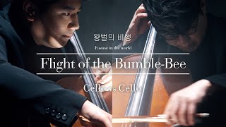 첼로대결│믿기힘든 역대급 속주 왕벌의 비행🐝 Flight of the BumbleBee│Two Cellos Feat 심준호  NRimskyKorsakov [upl. by Itnuahsa]