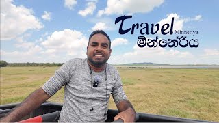 Travel Minneriya ParkElephant ParkThamankaduwa Television Dila Vlogමින්නේරිය අලි බලන්න [upl. by Sollows229]