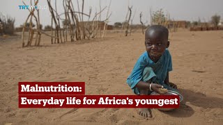 TRT World  World in Focus Malnutrition Everyday life for Africa’s youngest [upl. by Noyar739]