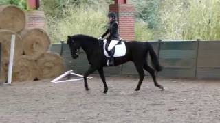 Dressage at Two Counties Equestrian  Warm up 22717 [upl. by Eidnam]