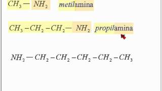 Compuestos Nitrogenados Aminas [upl. by Mclaurin]