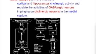 Neurotransmitters of memory [upl. by Heins]