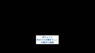 お散歩デ、ビュー…？ 出産 低出生体重児 切迫早産 切迫流産 小耳症 赤ちゃん 心室中隔欠損症 子育て [upl. by Pyotr]