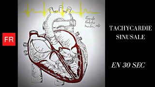 Arythmies animation cardiaque et ECG  Tachycardie Sinusale Shorts [upl. by Ssitnerp]