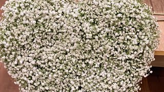 how to make gypsophila flower heart [upl. by Ahsillek719]