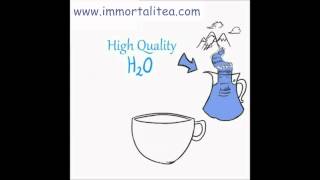 The Immortalitea Company Guide to Brewing Loose Leaf Jiaogulan Gynostemma Tea [upl. by Ferriter]