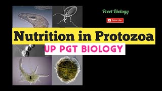 Nutrition in Protozoa ll PGT Biology [upl. by Mou]