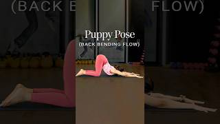 Puppy Pose  Back Bending Flow  Yoga For Strength  Yoga Back Stretch  Yoga Flow shorts [upl. by Trub]