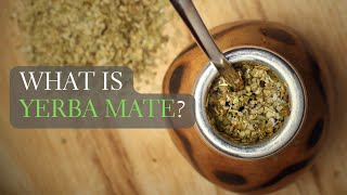 What is Yerba Mate Yerba Mate Facts and More [upl. by Ylenaj]