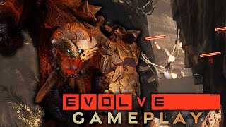 Evolve  All Monsters Gameplay amp All Evolve Stages 1080p HD [upl. by Ernestine781]