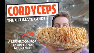 Zombie Fungus or Energy Mushroom The Ultimate Guide To Cordyceps [upl. by Rieger437]