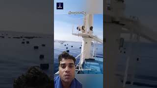 news ship amazingfacts titanic hindi bollywood vaishnodevikatra comedyfilms song [upl. by Jemie762]