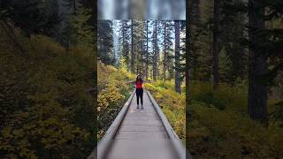 Fall starts in USA shortsvideo fall fallcolors usa america travel yellowstone vlog mountain [upl. by Yralih775]