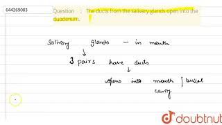 The ducts from the salivary glands open into the duodenum  6  DIGESTIVE SYSTEM  BIOLOGY  I [upl. by Notsag]