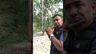 Lekali ho choya ko doko bijaytheenglamaflute bijaytheenglamabasuri bambooflutemusic bijay [upl. by Otis]