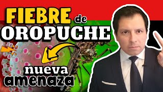 ¡ALERTA FIEBRE OROPUCHE  LA NUEVA AMENAZA DE SUDAMÉRICA [upl. by Jegger]