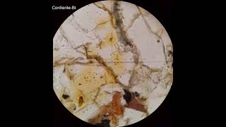 Cordierite tutorial Optical mineralogy [upl. by Saval]