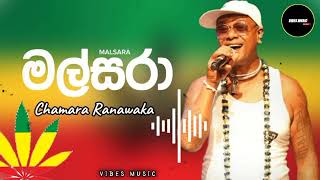 Malsara මල්සරාchamararanawaka chamararanawakaofficial viralvideo subscribe support like [upl. by Lepper]