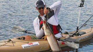 How to Safely Land and Release PIke [upl. by Brott]