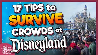 17 Best Tips to SURVIVE THE CROWDS at Disneyland [upl. by Widera]