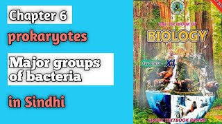 Major groups of bacteria class 11 biology Sindh board chapter 6 prokaryotes [upl. by Aneryc963]