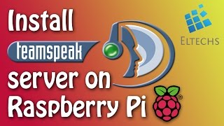 How To Install TeamSpeak 3 Server On Raspberry Pi [upl. by Wyler958]