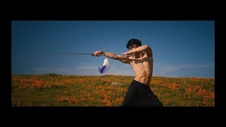 Nhut Le Stunt Reel Wushu [upl. by Eisset]