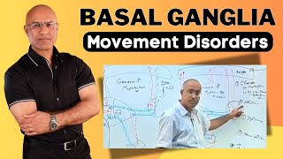 Basal Ganglia and Movement Disorders  Neurology [upl. by Ecirbaf668]