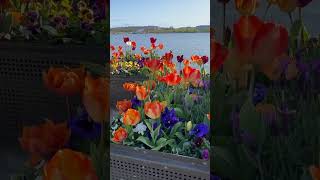 Floriade in Canberra [upl. by Nay]