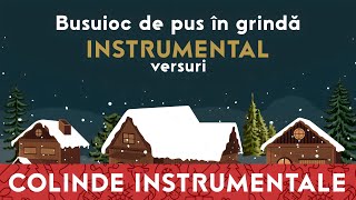 Busuioc de pus in grindă ❄️ INSTRUMENTAL karaoke [upl. by Pelag187]