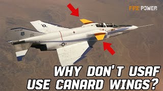 Why Dont Air Force Fighter Jets Adopt Canard Wings [upl. by Amargo87]