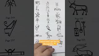 Write Hieroglyphs Like an EGYPTIAN Hieroglyphic Calligraphy for Beginners Level up your creativty [upl. by Uda610]