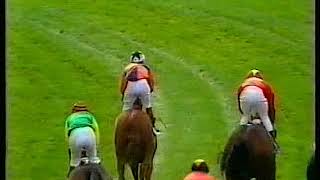 1983 Ayr Gold Cup Pollys Brother Includes Replay [upl. by Goldshlag]