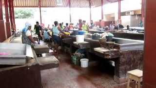 Mindelo fish market [upl. by Winslow]