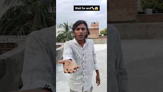 Khaa bhi gya gola😂😱🦴 Comedy video🤣 shorts comedy funny ytshorts fun youtube [upl. by Yrdua]