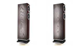 Fyne Audio F501  Dark Oak [upl. by Gnos]