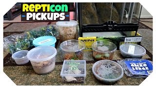 REPTICON PICKUPS TWO NEW PETS [upl. by Dinnage130]