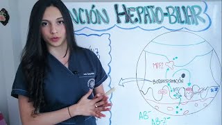 BIOTRANSFORMACIÓN DE FÁRMACOS Y ANIONES ORGÁNICOS EN EL HÍGADO [upl. by Milde424]