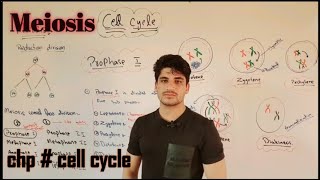 Meiosis divisions of meiosisshomusbiologyofficial superbiolog Bionic [upl. by Gnehc]