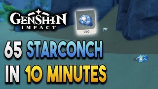 Starconch Locations  Fast and Efficient  Ascension Materials 【Genshin Impact】 [upl. by Wanyen6]