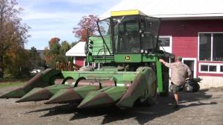 Growing Sunflowers for Biodiesel [upl. by Nailuj]