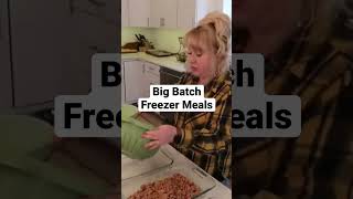 Massive Big Batch Freezer Meals cooking batchcooking homecanning freezermeals [upl. by Ybloc]