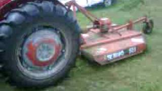 Massey ferguson Mowing [upl. by Borden403]