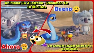 🔴 Animalia En Australia  Resumen En 10 Minutos ¦ Los animales salvajes Quieren Ir A las Montañas [upl. by Reinhart]