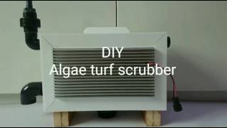 DIY Algae Turf Scrubber [upl. by Ydok]