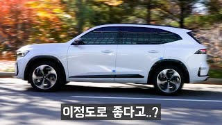 뒤도 안 돌아보고 산 4천만원대 SUV [upl. by Christyna]