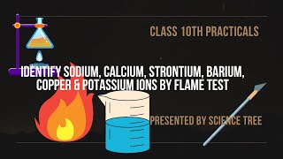 Identify sodium calcium strontium barium copper and potassium ions by flame test  Science Tree [upl. by Aikin]